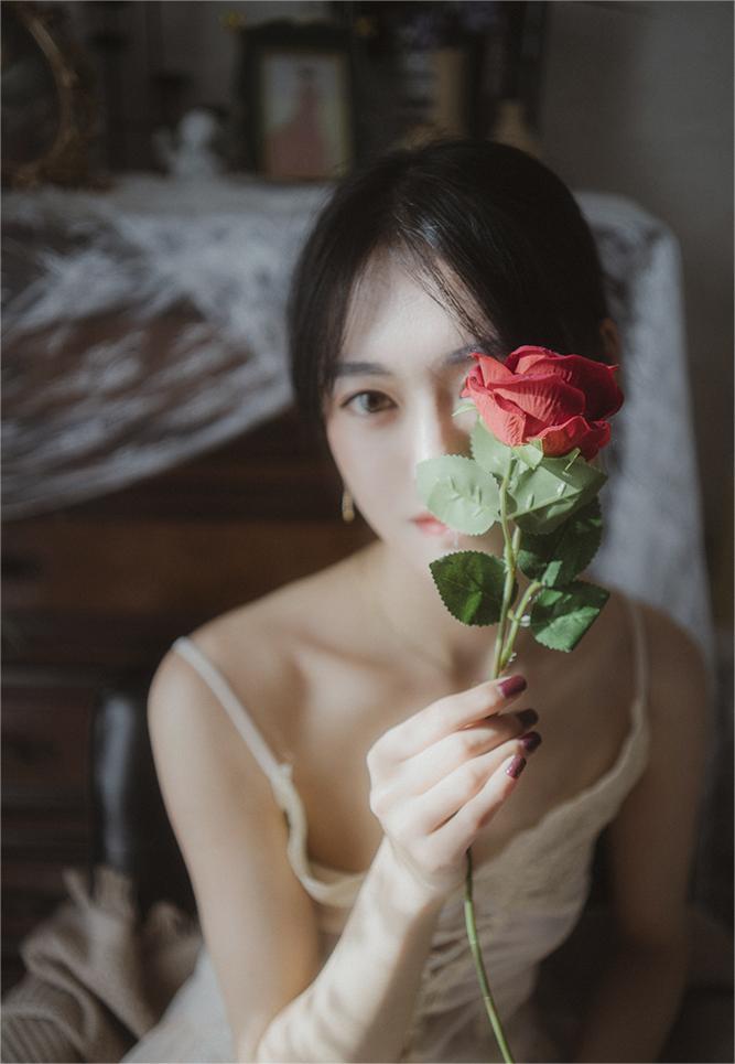 Red Rose by 0x64....1fD0