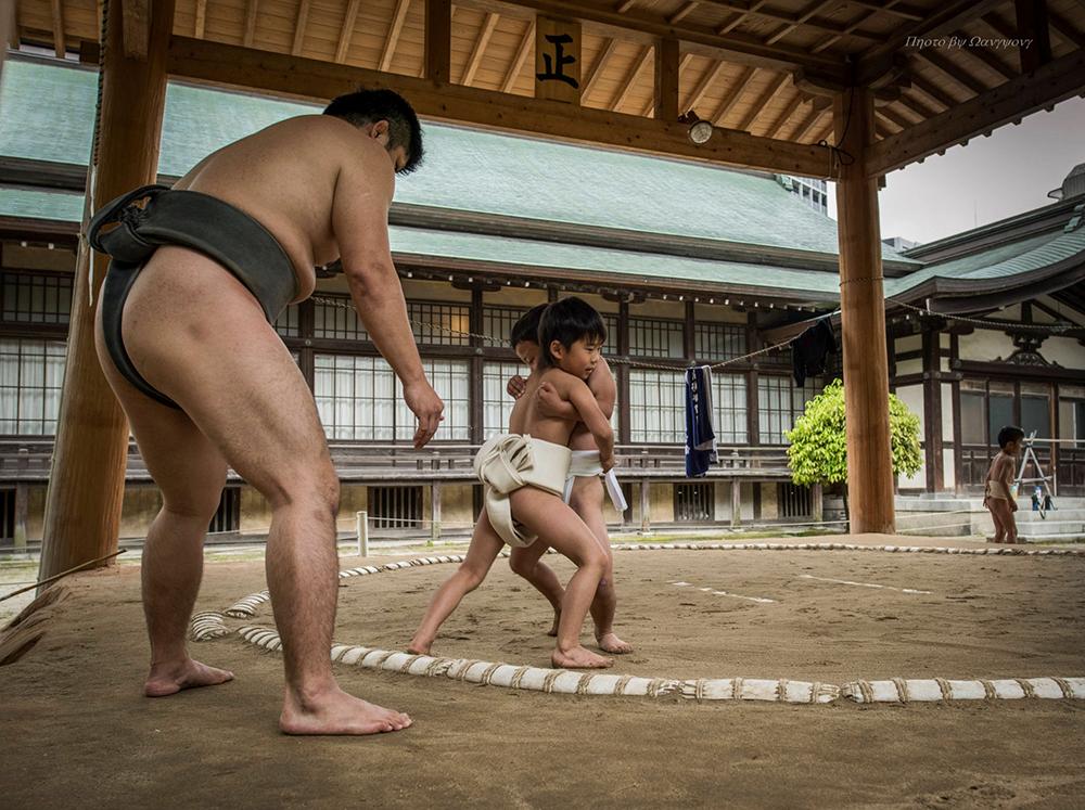 sumo wrestling by 0x37....8aEE