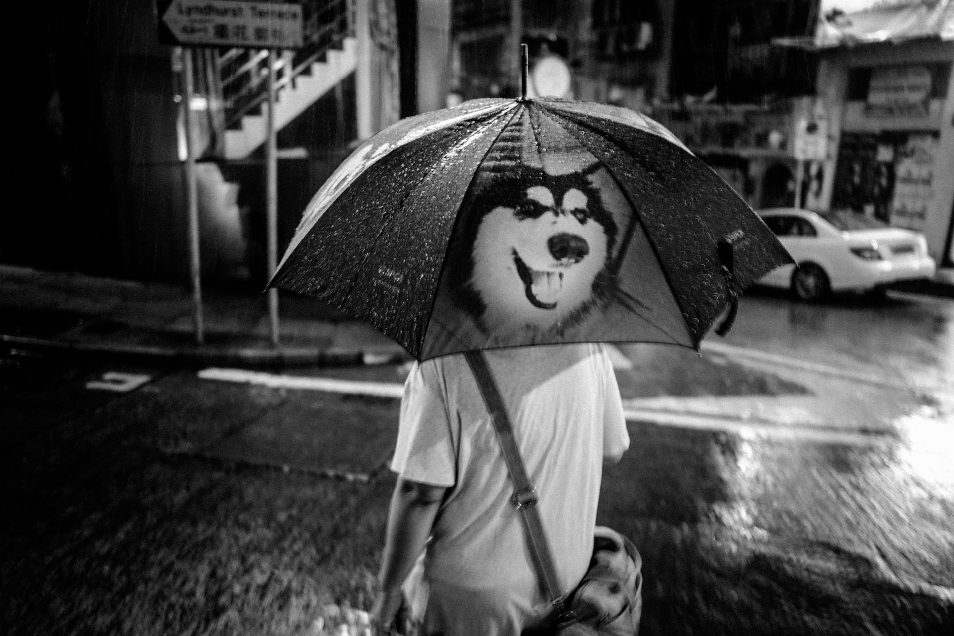 Who let the dog out by Chia Aik Beng