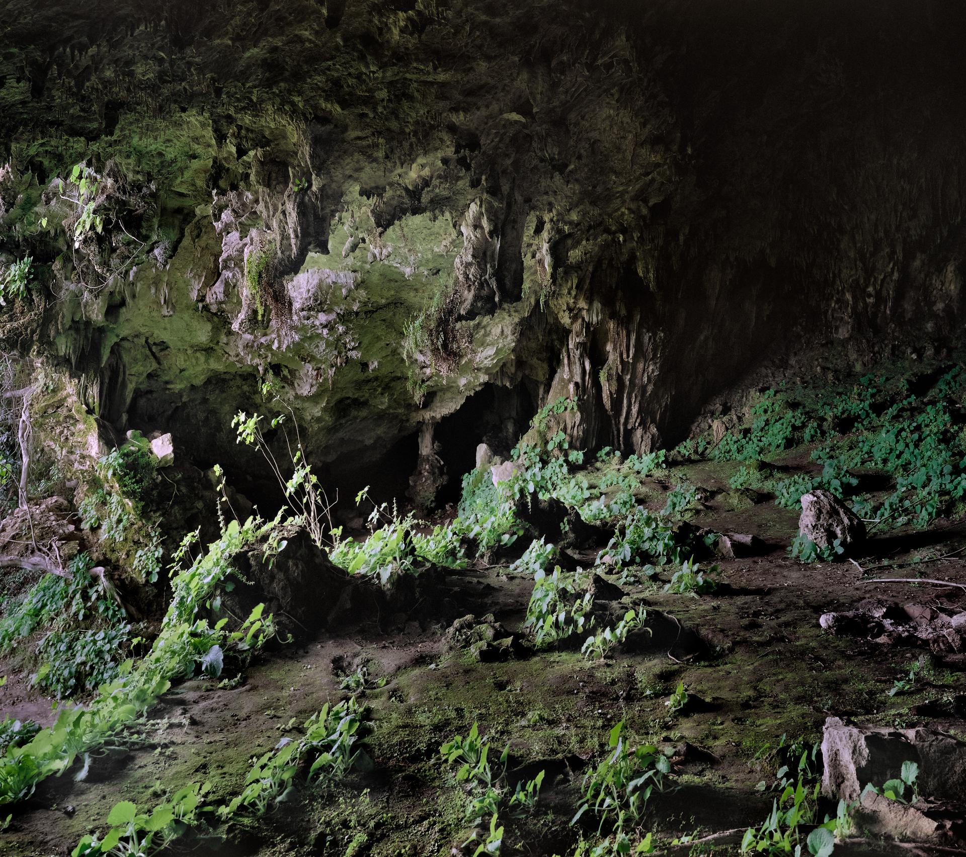 In The Cave by alireza fani