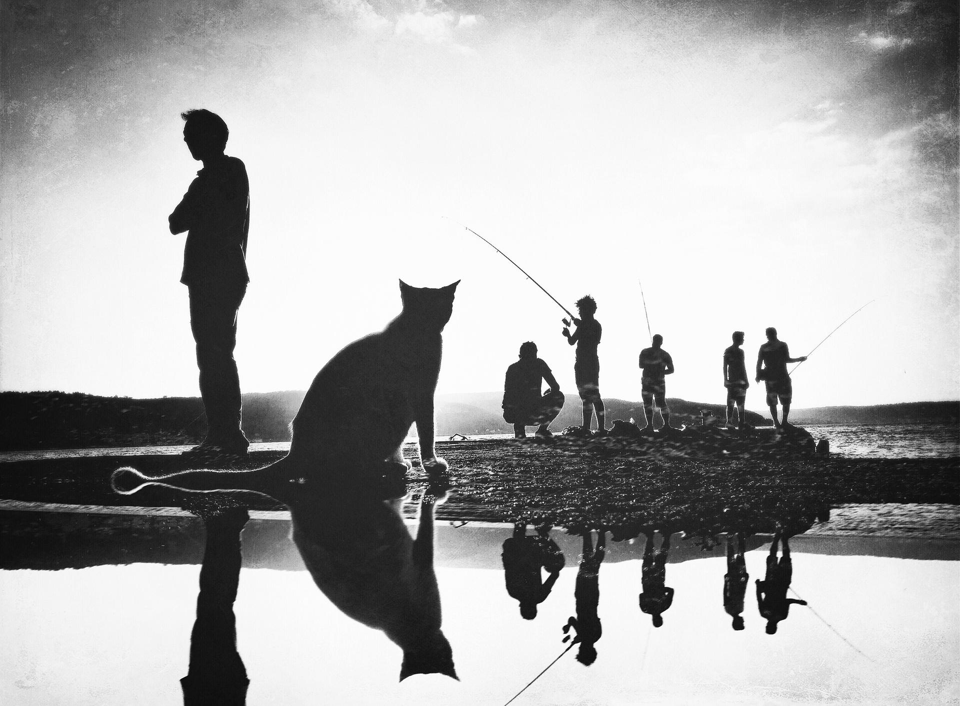 Fishermen’s friend by Yalım Vural