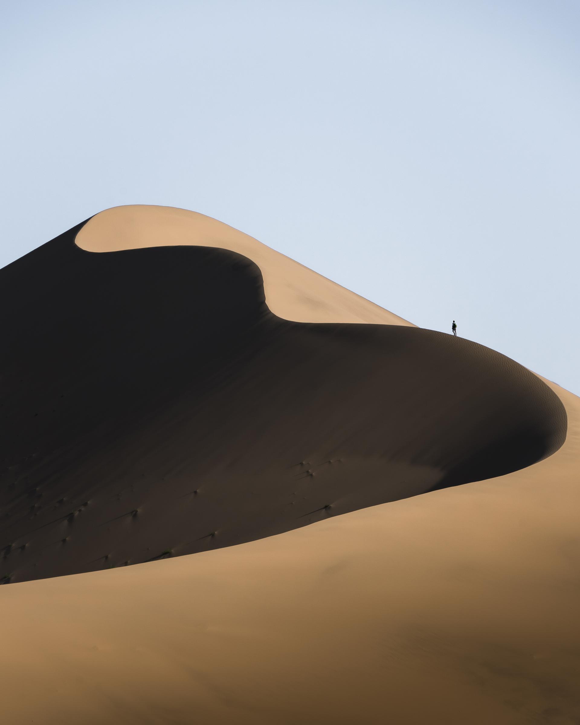 Dune Wanderer by Luca Renner