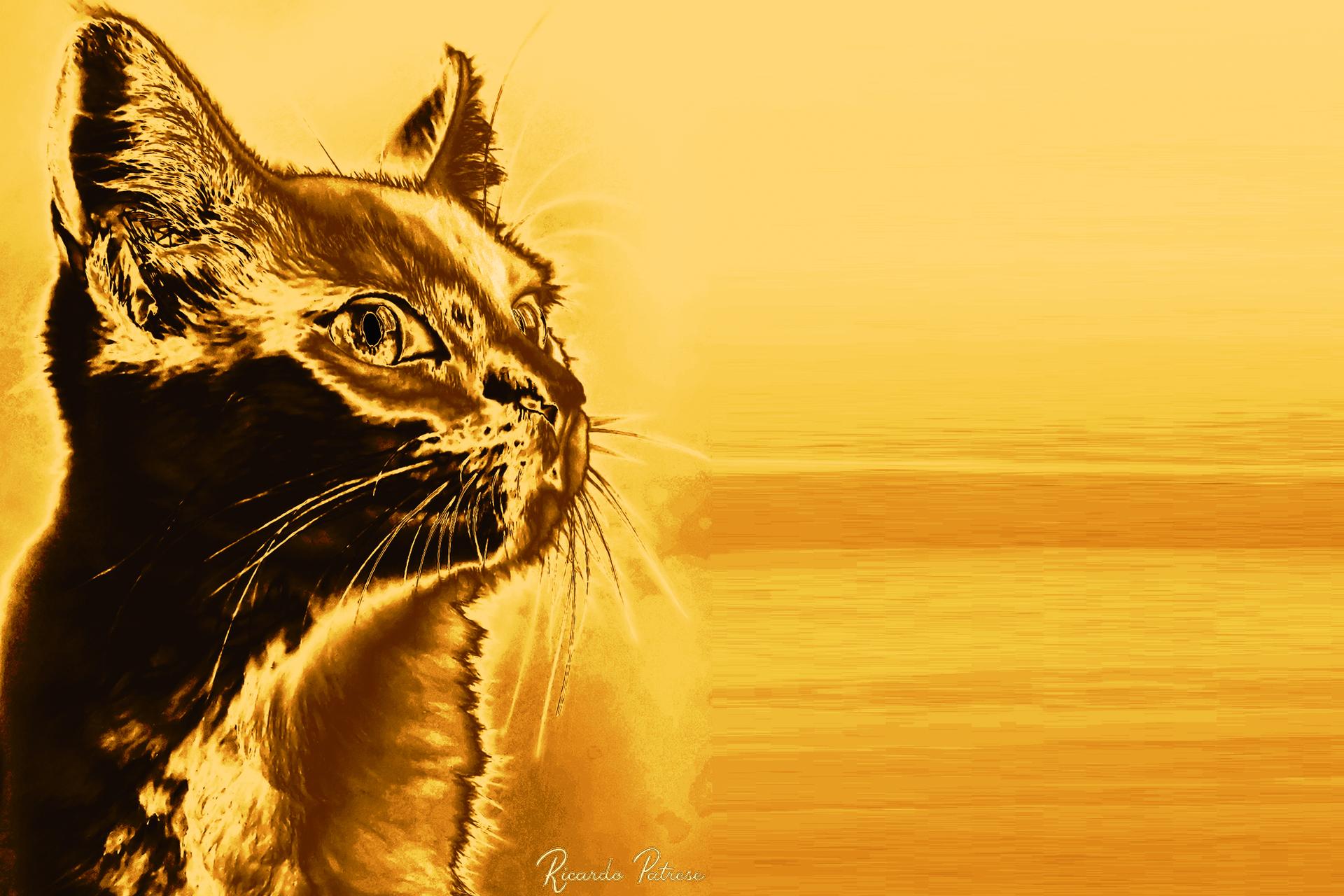 Golden Cat - by Ricardo Patrese by Ricardo Patrese