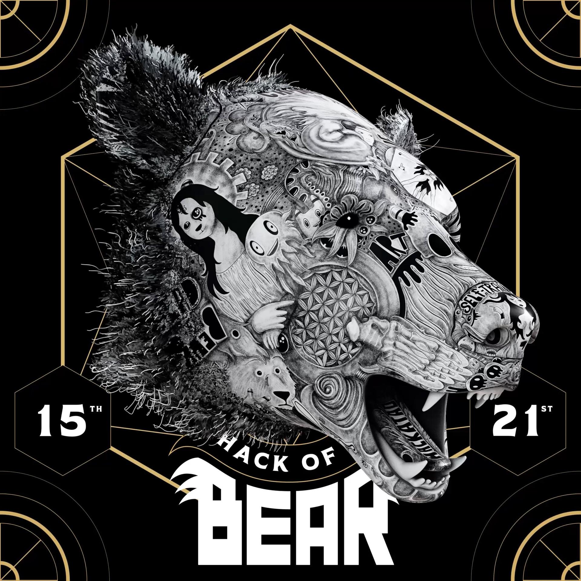 HACK of a BEAR - The Artist image